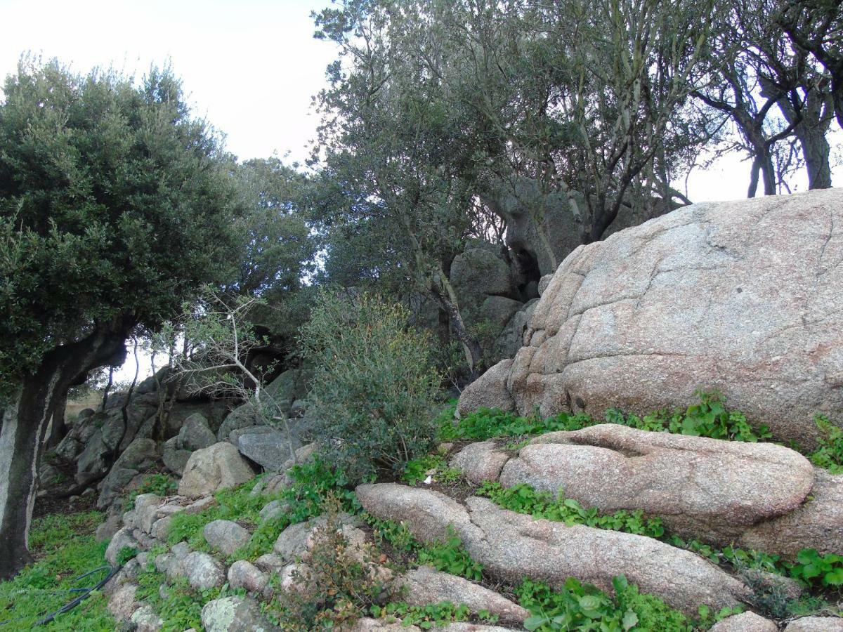 Casa Eleonora Villa Santa Teresa Gallura Buitenkant foto